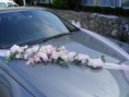 /album/fotogaleria/aranz-na-auto-jpg2/
